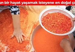Uzun ömrün sırrı ondaymış! Bir kere yapınca kış boyu yiyebilirsiniz! Hem lezzetli hem şifalı, tabak tabak içen 100 yaşına kadar yaşıyor
