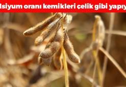 Adana'da hasadı başladı! Kilosu 14 TL: Protein ve kalsiyumda inek sütünü solluyor! Doğal şeker ilacı, Japonların da favorisi!