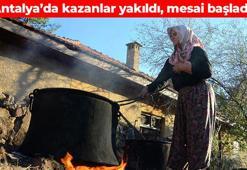 Antalya sıcağında kazanlar yakıldı! Kilosu 250 TL: Vücuda kalsiyum yüklüyor, kronik hastalıklara savaş açıyor, bağırsakları makine gibi çalıştırıyor