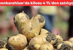 Kilosu 4 TL'ye satılıyor! Afyonkarahisar'da hasadı devam ediyor, herkes kilo kilo alıyor, basurun kökünü kurutuyor, herkes ayıla bayıla yiyor vücuda enerji yüklüyor