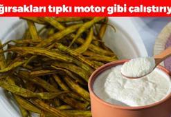 Bağırsakları motor gibi çalıştırıyor! Yoğurdun içine bir avuç eklemek yetiyor: Kabızlığın kökünü kurutup probiyotik yüklüyor!