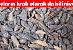 Halk arasında 'ilaçların kralı' olarak biliniyor! Çinliler bardak bardak içiyor: Bağırsakları boşaltıp kuru öksürüğü bıçak gibi kesiyor!