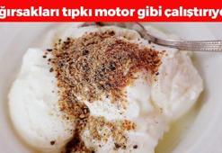 Yoğurdun içine kaşık kaşık ekleyin! Bağırsakları motor gibi çalıştırıp kalsiyum depolarını fullüyor, 24 saat tok tutma garantili!