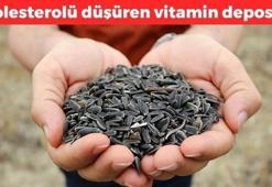 Bilecik'te hasadı başladı! 1 avuç yiyince kolesterolü damardan siliyor, kemikleri beton gibi sağlamlaştırıyor!