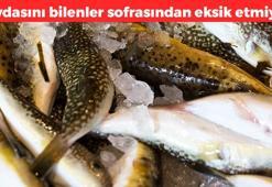 Kışın sürekli hasta olanlar denesin! Tüm takviyelerden daha etkili: Vücuda reset atıp kışa hazırlıyor, mikropları geri püskürtüyor