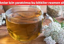Kadınlar için yaratılmış üç bitki! Kırk yaşından büyük olanlar denesin: Cilt kırışıklıklarını gideriyor, östrojeni artırıyor, hormonları düzenliyor