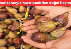 Unutulmaya yüz tutmuş tarif! İncirin üstüne 1 bardak ekleyin, yüz farklı vitamin içeriyor, kaşık kaşık yiyince magnezyum depolarını fullüyor, tıkalı damarları hortum gibi açıyor