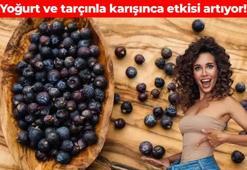 Bel ve basende biriken yağları eritiyor! Yoğurt ve tarçınla karıştırınca gün boyu tok tutuyor: Kaşık kaşık yiyen tığ gibi oluyor, metabolizmayı çalıştırıyor