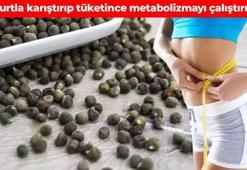 Bir kaşığı vücuttaki yağları eritiyor! Yoğurtla birleşince metabolizmayı ateşliyor: Tığ gibi zayıflatıyor, fazla kilolardan kurtarıyor