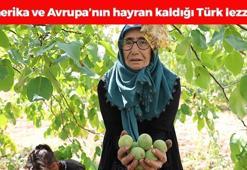 Türk köyünden Amerika ve Avrupa'ya kilo kilo satılıyor! Kolesterol seviyelerini sıfırlayıp damarları yağ çözücü gibi açıyor, doğal şeker ilacı!