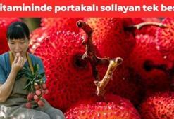 Sadece Mersin'de yetişiyor! Portakalı 20'ye katlıyor: Kralların meyvesi olarak biliniyor