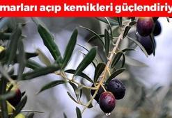 Her sabah kahvaltı sofrasında ama yüzüne bakılmıyor: Kalp damarlarını açıp kolesterolü bitiriyor, kemikleri beton gibi yapıyor!