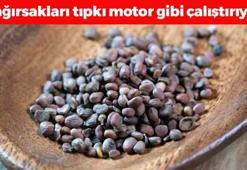 Yoğurda katıp kaşık kaşık yiyin! Bağırsakları motor gibi çalıştırıyor: Karaciğere reset atıp böbrekleri diyalizden kurtarıyor!