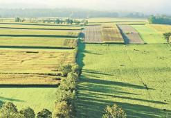 İşlenmeyen arazi sezonluk kiralanacak
