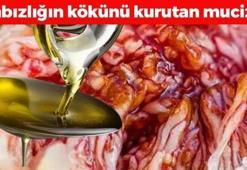 İbn-i Sina'nın bin yıllık tarifi! Bağırsakları çalıştırıp kabızlığın kökünü kurutuyor, kemikleri demir gibi güçlendiriyor!