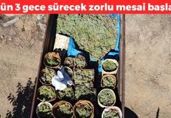 Zorlu mesai başladı! Yapımı 3 gece 2 gün sürüyor: 1 kaşığı bile yetiyor, bağırsakları motor gibi çalıştırıyor, demir depolarını fulleyip buruş buruş damarları genişletiyor