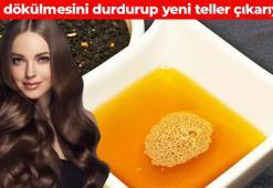 Çörek otu yağının üzerine ekleyin! Haftada 2 kez uygulayınca saç dökülmesini durduruyor: Değdiği yerden saç fışkırtıyor