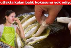 Mutfakta kalan balık kokusunu yok ediyor! Suya eklemek yetiyor: Kötü kokuyu vakum gibi çekiyor, mutfağı mis gibi kokutuyor