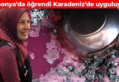 Japonya'da öğrendi Karadeniz'de uyguluyor! 8 saat süren zorlu mesai: Demir depolarını dolduruyor, bağışıklık sistemini çelik gibi güçlendiriyor