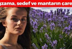 Bitkilerin Profesörü tek tek anlattı! Egzama, sedef ve mantarın kökünü kazıyor! Ciltteki yaraları iyileştiriyor, Afrodit'in güzellik iksirinde de varmış!