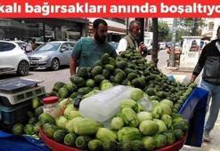 Dünyanın en zengin potasyum ve magnezyum kaynağı! Ermeni salatalığı olarak da biliniyor: Tıkalı bağırsakları boşaltıyor
