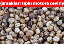 Kalsiyumda inek sütünü solluyor! 3 tanesi kemikleri betona çeviriyor, bağırsakları motor gibi çalıştırıyor!