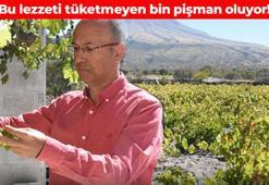 Kapadokya'dan Avrupa'ya lezzetli yolculuk! 'Cennet meyvesi' olarak da biliniyor: Yüksek tansiyonu düşürüyor, kan basıncını dengeliyor