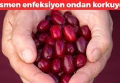 Enfeksiyon ondan korkuyor! İdrar yollarını anında temizliyor: Hem bakterilerden arındırıyor hem de kalbi yeniliyor