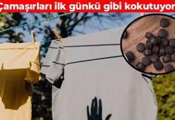 Kıyafetleriniz çamaşır makinesinden çıkmış gibi kokacak! Dolaba bir parça koymak yeter: Anında ferahlık ve güzel koku sağlıyor