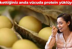 Dünyanın en güçlü protein kaynağı! Kemiklere kalsiyum yüklemesi yapıyor: Yükselen kan şekerini yerle bir ediyor