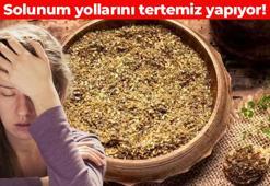 Bu çayı içenler astımdan kurtuluyor! Solunum yollarını çamaşır suyuyla temizlemiş gibi yapıyor: Adeta oksijene doyuruyor