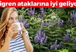 Resmen kadınlar için yaratılmış! Bardak bardak içince hormonları terazi gibi dengeliyor: Bağırsakları motora çevirip vücudu da zımba gibi yapıyor!