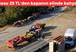 Bilecik'te hasadı devam ediyor! Kilosu 25 TL: Kolesterolü yere çakıyor, büzüş büzüş damarları genişletiyor, kemikleri beton gibi yapıyor