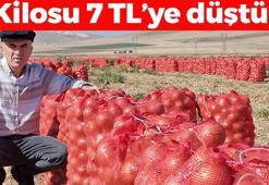 Kilosu 7 TL'ye düştü! Dünyanın en güçlü antibiyotik deposu, enfeksiyonun kökünü kurutup  damarları pırıl pırıl yapıyor! Kolesterol seviyelerini sıfırlıyor