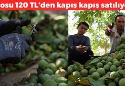 Elazığ'da hasadı devam ediyor! Kilosu 120 TL: Kan şekerini dengeliyor, magnezyum, potasyum ve bakır zengini, kemikleri beton gibi yapıyor