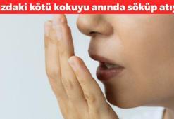 Ağızdaki kötü tadı yok ediyor! Günde 1 tane yemek yetiyor, ağız kokusu ve acı tadın kökünü kurutuyor