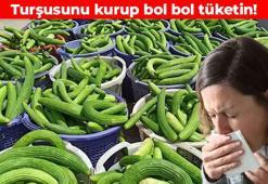 Turşusunu kurup yiyin! Doğal probiyotik kaynağı: Bağırsakları motor gibi çalıştırıp kabızlığa son veriyor