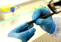 Erkeklerde risk artıyor! Meme kanserine dikkat