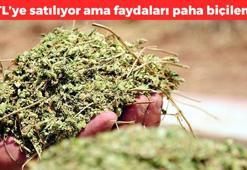 Kalsiyum ve demire doyuruyor! Tanesi 30 TL: Dünyanın en güçlü antibiyotiği, yemeklere katınca etkisi 50 kat artıyor