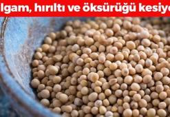 Aktarlarda yok satıyor! Balgam, hırıltı ve öksürüğü bıçak gibi kesiyor, magnezyumu en bol besin! Kabızlığı da bitiriyor