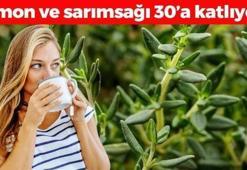 Çayını yapıp bardak bardak için! Limon ve sarımsağı 30'a katlıyor! Dünyanın en güçlü antioksidanı, ömrü 10 yıl uzatıp kolesterolün ve iltihabın kökünü kazıyor!