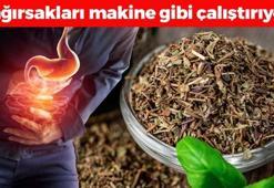 Bağırsakları tıpkı motor gibi çalıştırıyor! Kan şekerini anında dengeleyip insülini baskılıyor! 1 kaşık yiyen 30 yıl hastalanmıyor, demirden bağışıklığın sırrı