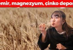 Sivas'ta hasadı rekorla tamamlandı! Demir, magnezyum, çinko ne ararsan onda! Kolesterolü damardan silip atıyor