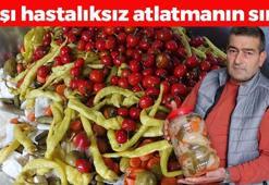 Türkiye'den Rusya'ya kapış kapış satılıyor! Doğal antibiyotik, bağışıklığı zımba gibi yapıyor! Öksürük, balgam ve hırıltıyı kesen probiyotik deposu