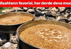 Padişahların doğal şeker ilacı! Egzamanın en doğal çaresiymiş, tıkalı damarları yağ çözücü gibi açıyor! Doğanın demir kralı
