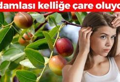 1 damlası kıl köklerini coşturuyor, kelliği tarihe gömüyor! Rapunzel gibi saçların sırrı ondaymış, tek seferde ışıl ışıl parlatıyor!