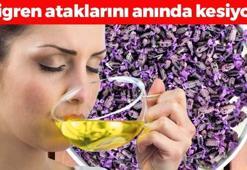 Doğal ağrı kesici! Öksürük, balgam ve hırıltıyı kesiyor, damarlara duş aldırıyor! Migren ataklarını tarihe gömüyor