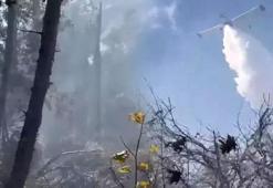 Hatay, Muğla ve Osmaniye’de peş peşe orman yangınları