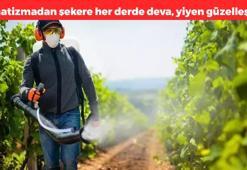 Kabızlık otu olarak da biliniyor! Yoğurtla karıştırıp yiyince bağırsakları makine gibi çalıştırıyor, mideyi tertemiz yapıyor, tansiyona iyi geliyor