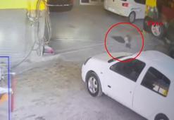 Mersin'de oto tamirciye gelen karga anahtarı alıp işçileri peşinden koşturdu!